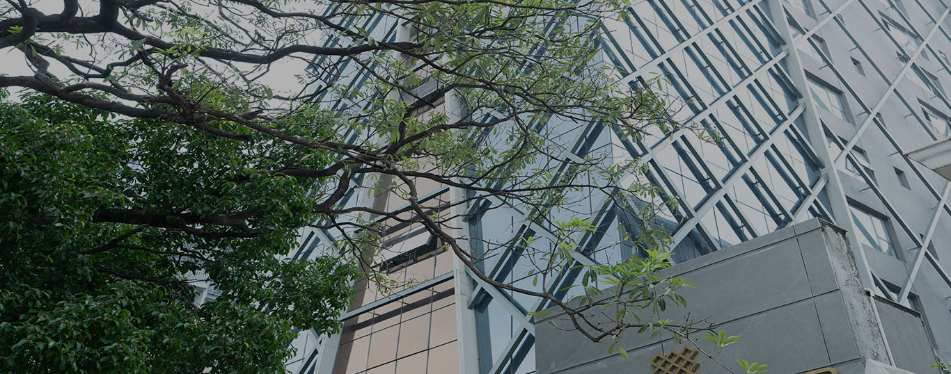banner-image
